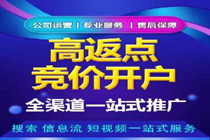 充值高返点策略：成功案例分析与解读
